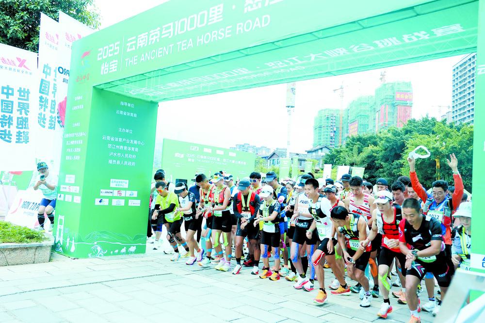 km组别的, amp km组别的, amp