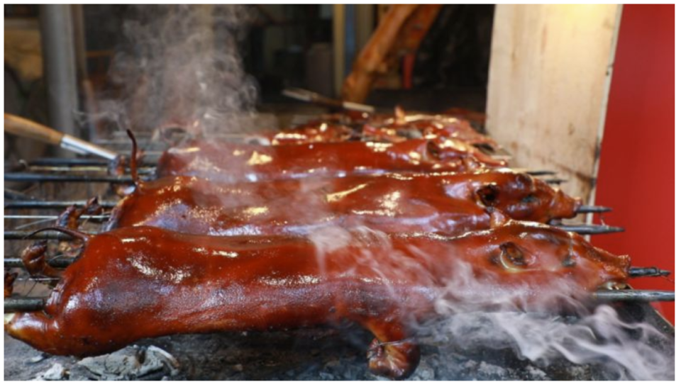 样吸引力, 这场由海南 样吸引力, 这场由海南